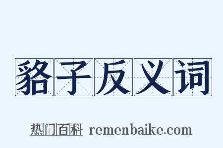 貉子反义词是什么意思的图片